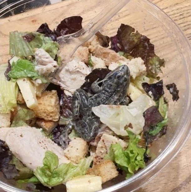 20200130000527_41194594_0_body