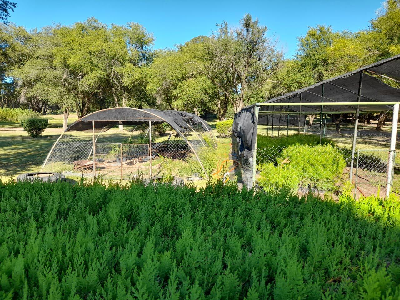 317524_img-20210218-wa0004