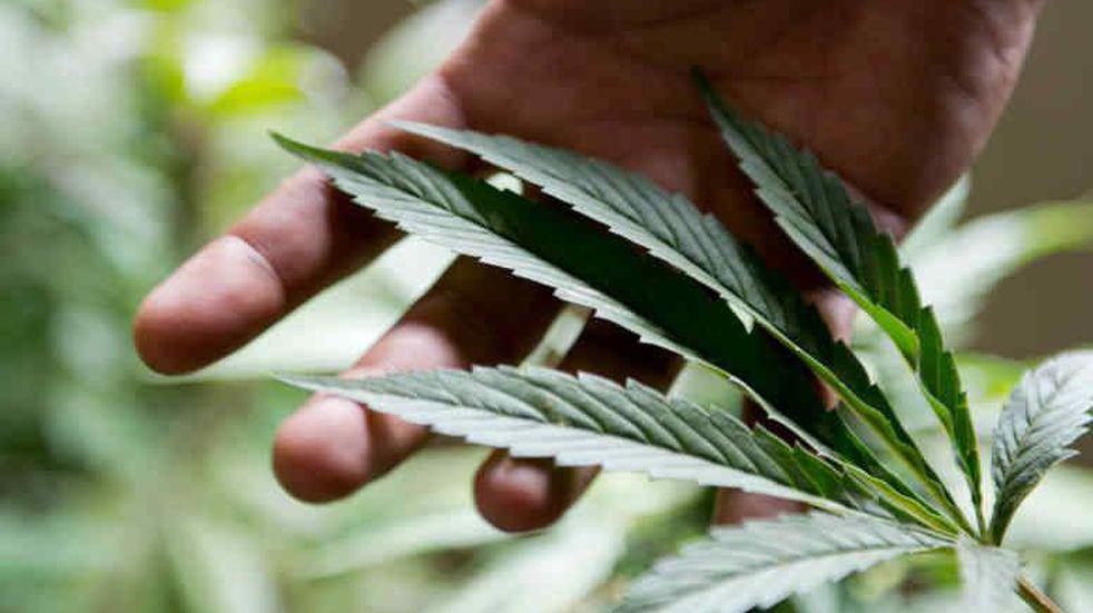 LCHJF7YF2FHVTMIS4S4QGI6PZI