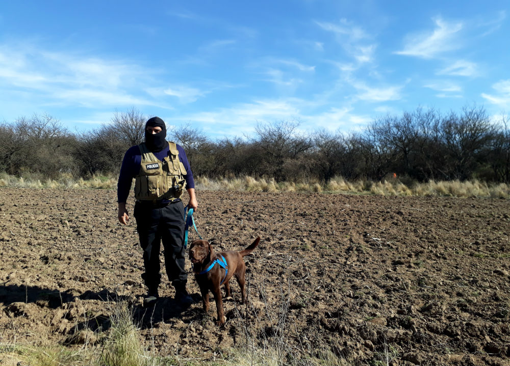 roccoperrodrogamarihuana2018-2