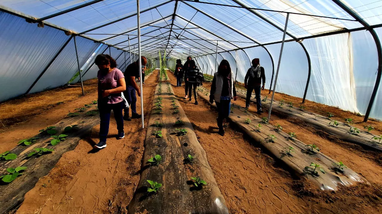 225500_img-20220828-wa0054