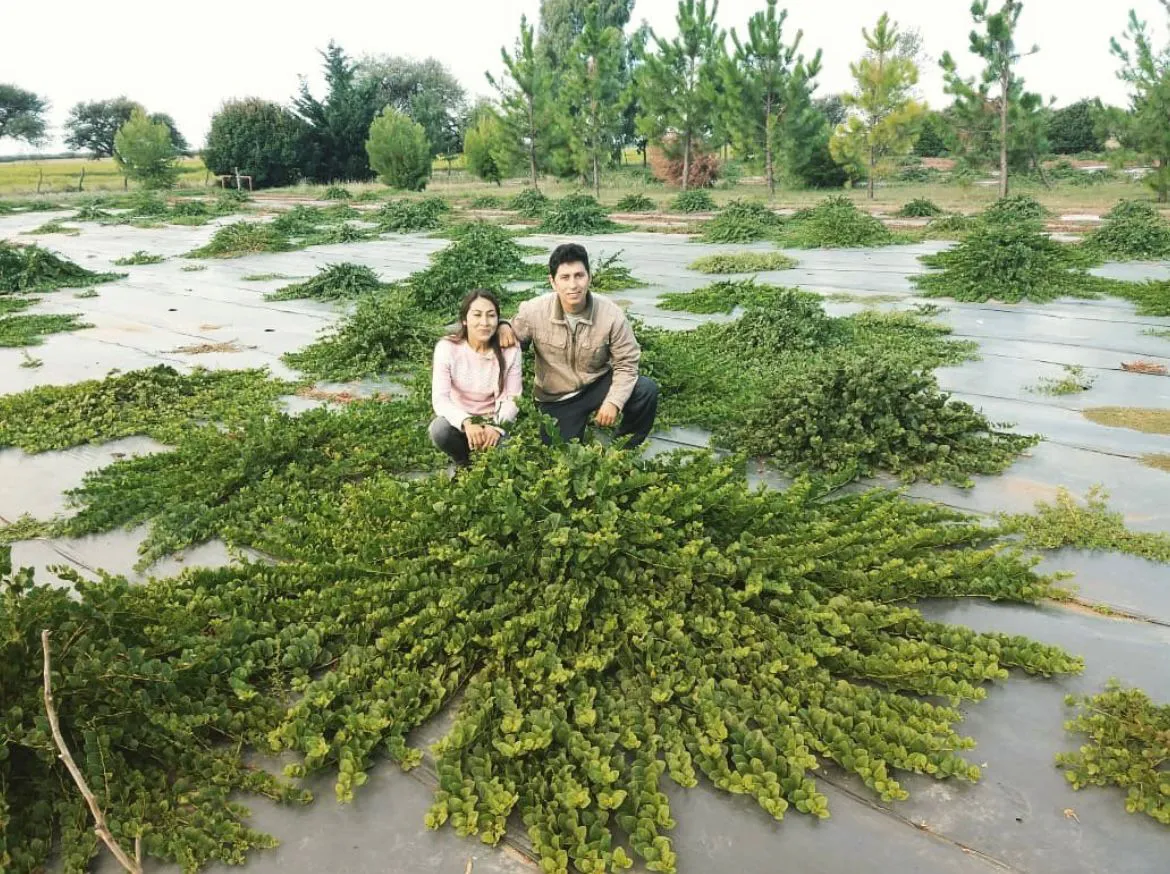 241603_whatsapp-image-2023-08-17-at-13.23.01