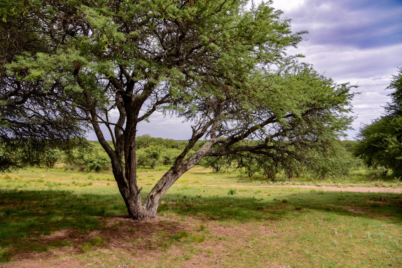 268954_whatsapp-image-2020-02-01-at-17.58.25