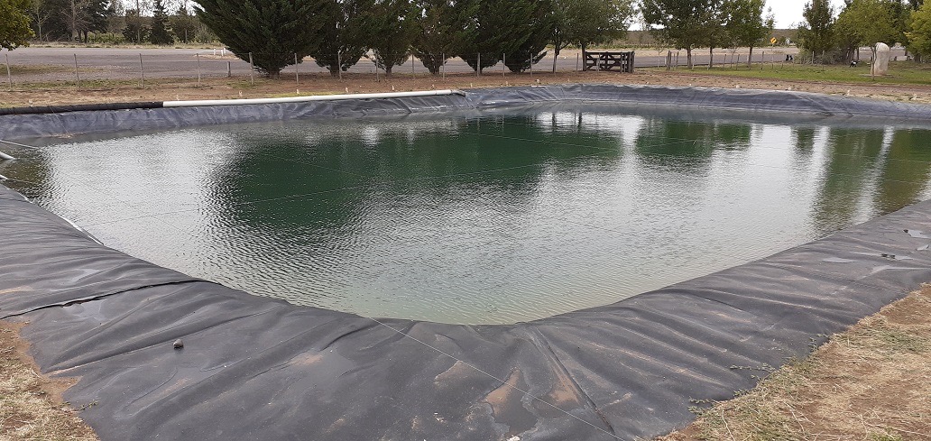 244555_a8427106-2e5e-4f46-9432-af4343b5af19