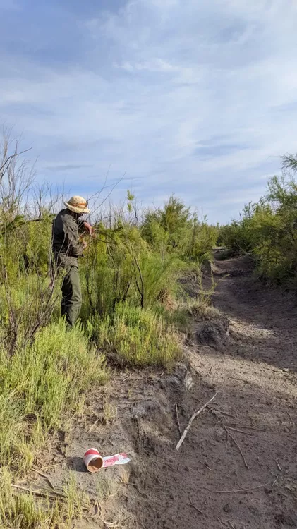 254051_whatsapp-image-2023-01-17-at-20.27.08--1-