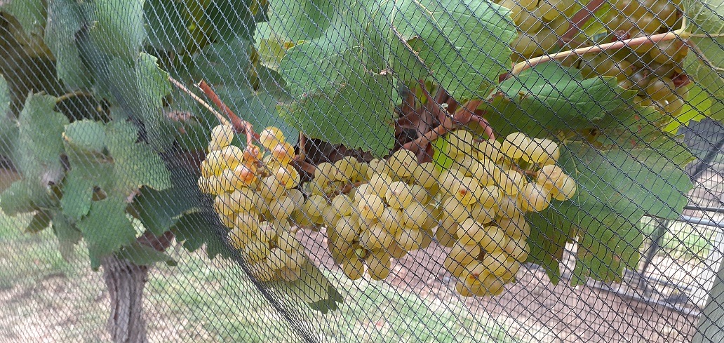 321446_bbb486b9-a178-42f3-89ca-aabb715cdcc1