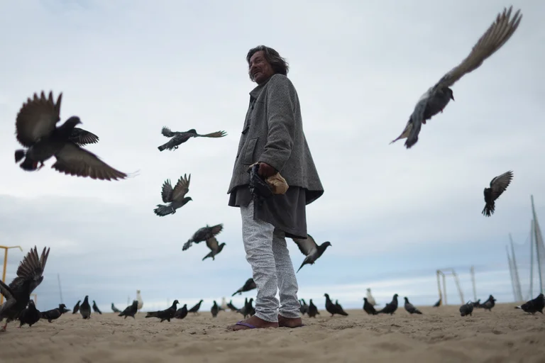 4244SW25PFEBRFQPS5DIS4WI4Y