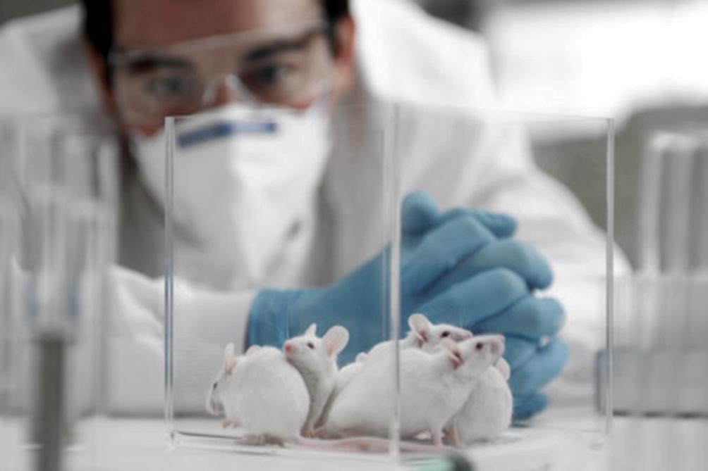 57bd99c2e8351_1004x669