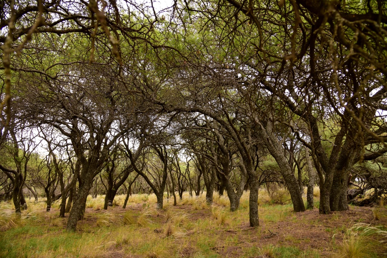 315688_whatsapp-image-2020-02-01-at-17.57.46