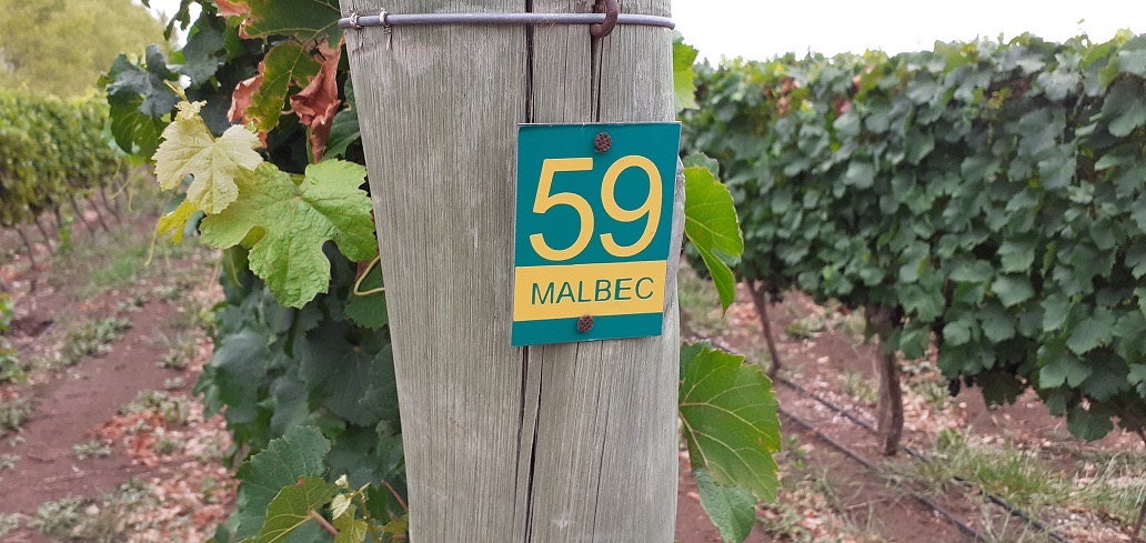 206728_bc9cd8e1-2718-4a7f-8eec-87d429dc6d23