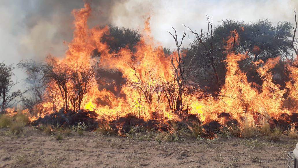 124701_img-20210216-wa0060