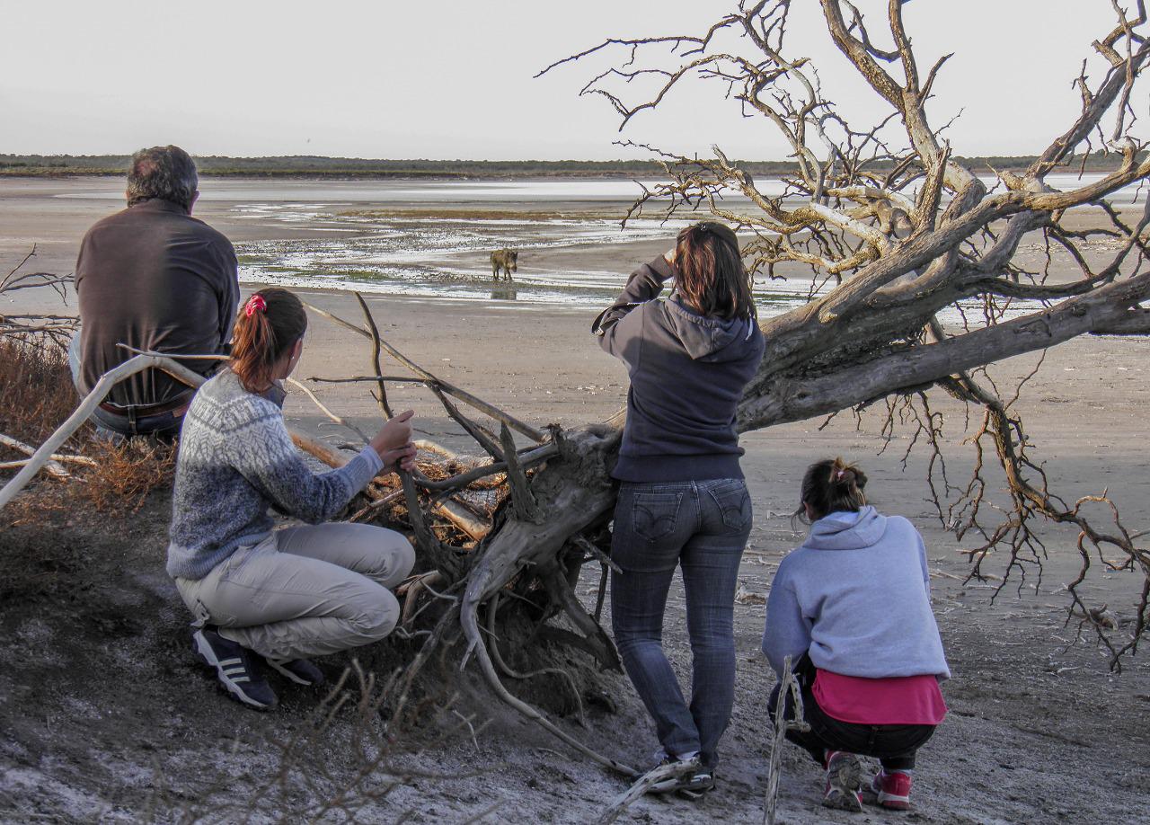 434672_whatsapp-image-2020-11-14-at-11.52.26-am-1-