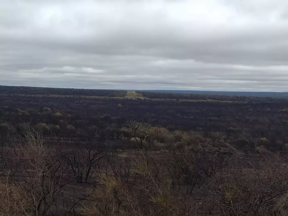 190629_whatsapp-image-2022-09-20-at-18.52.46