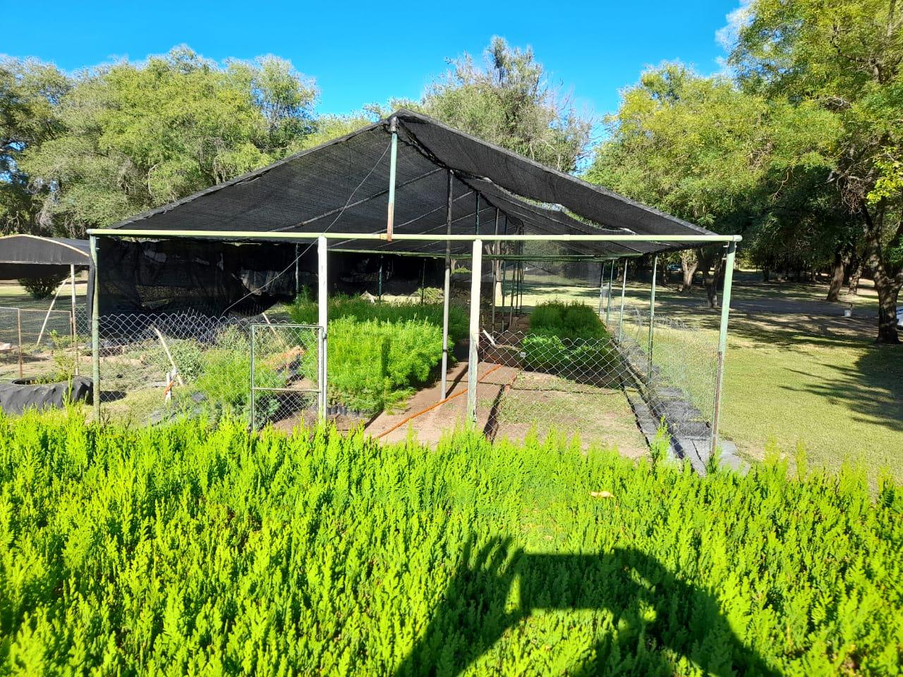 352257_img-20210218-wa0005