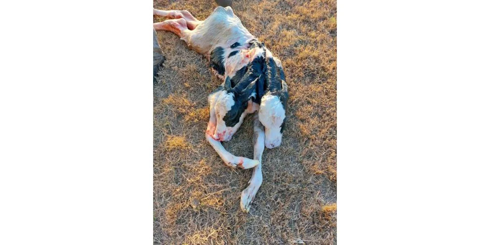 PVVYJKIZOFAG3DAPQCEQZ6UWOY