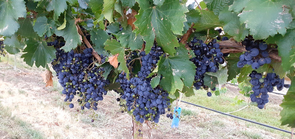 283981_d84291d5-19d4-4e74-9186-010e85447e90