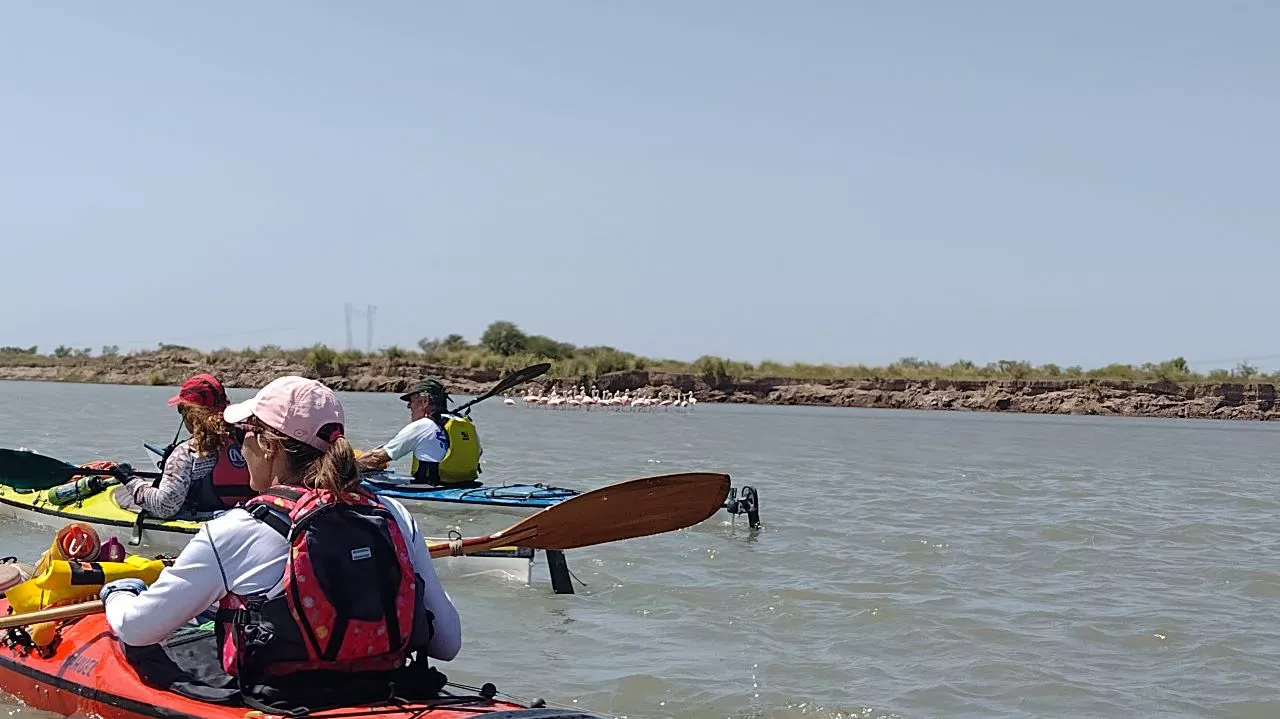 118891_img-20230221-wa0025