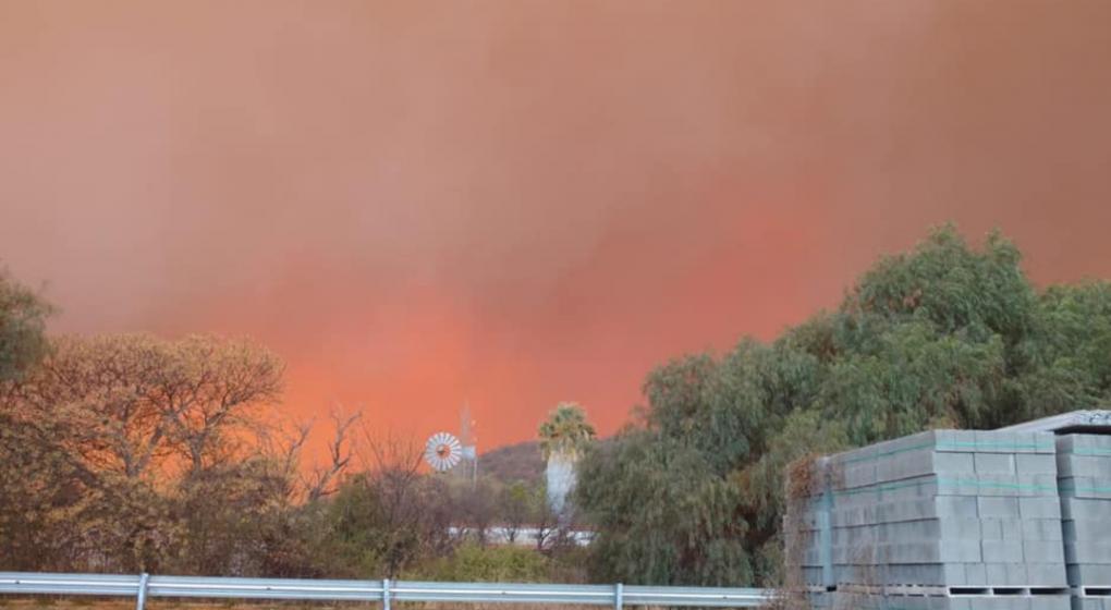 WhatsApp_Image_2020-08-23_at_15_1_1598206387