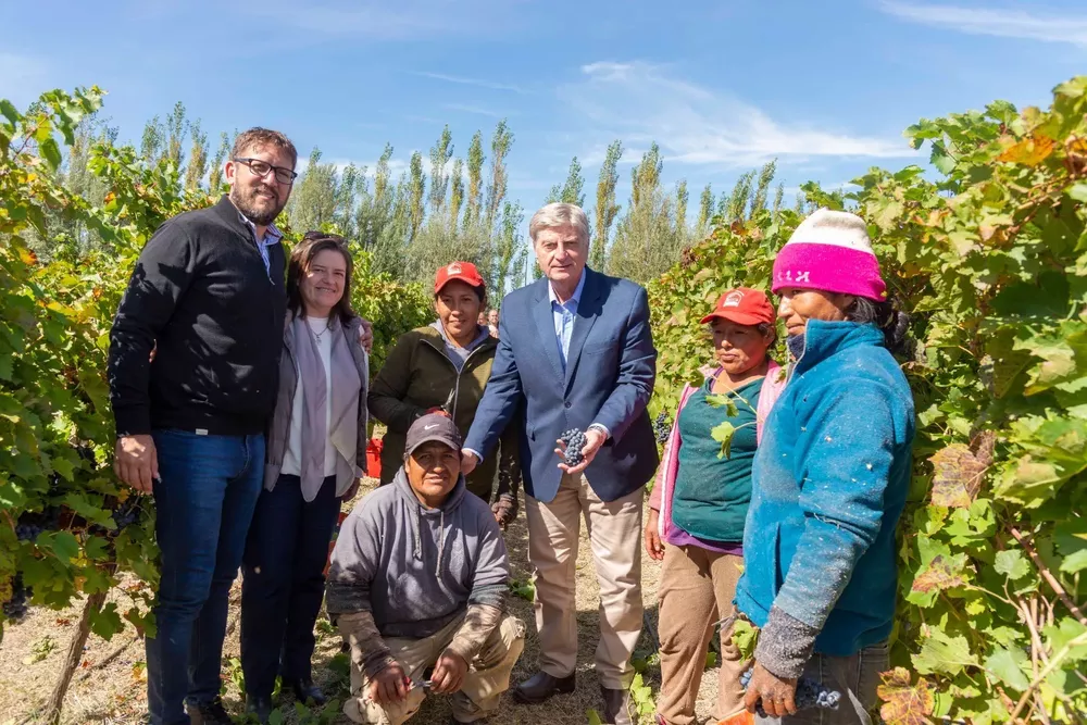 624868_whatsapp-image-2023-03-31-at-19.03.30