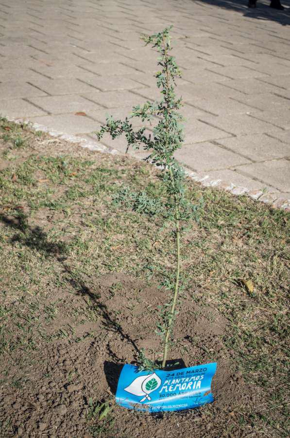 4bae756f-6a39-438b-a41f-b7cab0b146f2