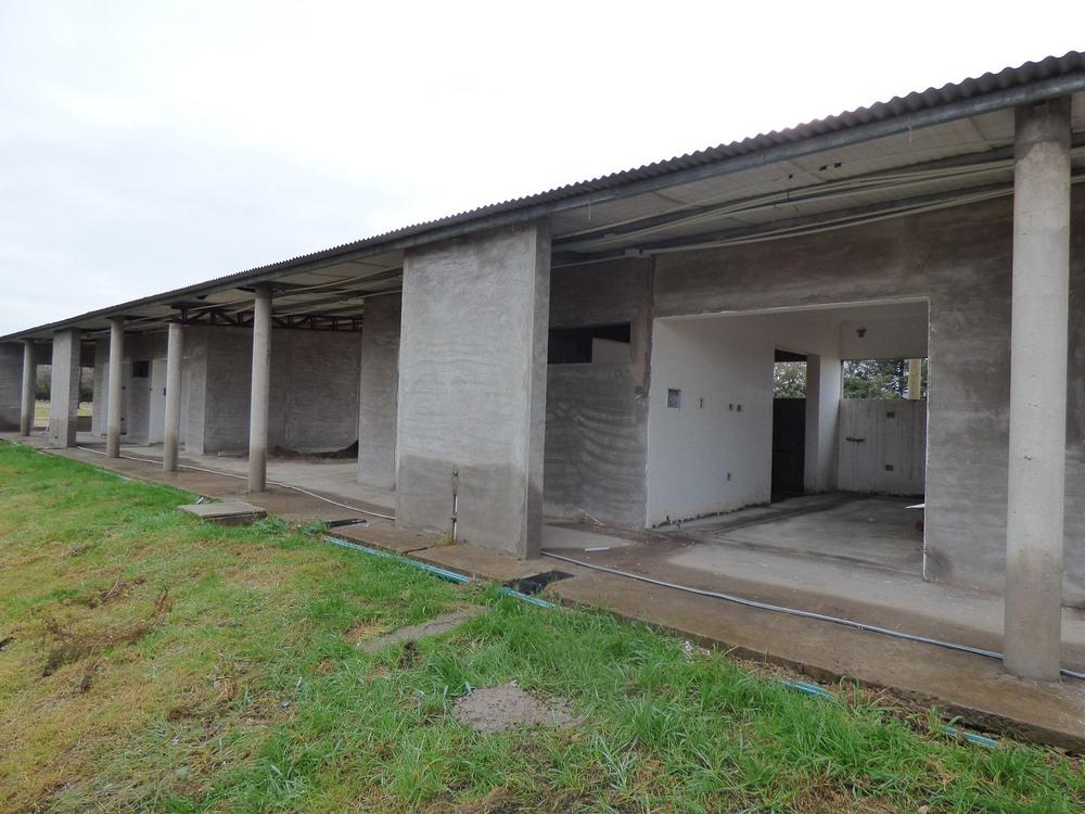 607429_peru-p1250778