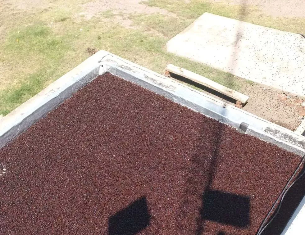 XCYDO6L5PVEFJDOZ46OYYYHCGE