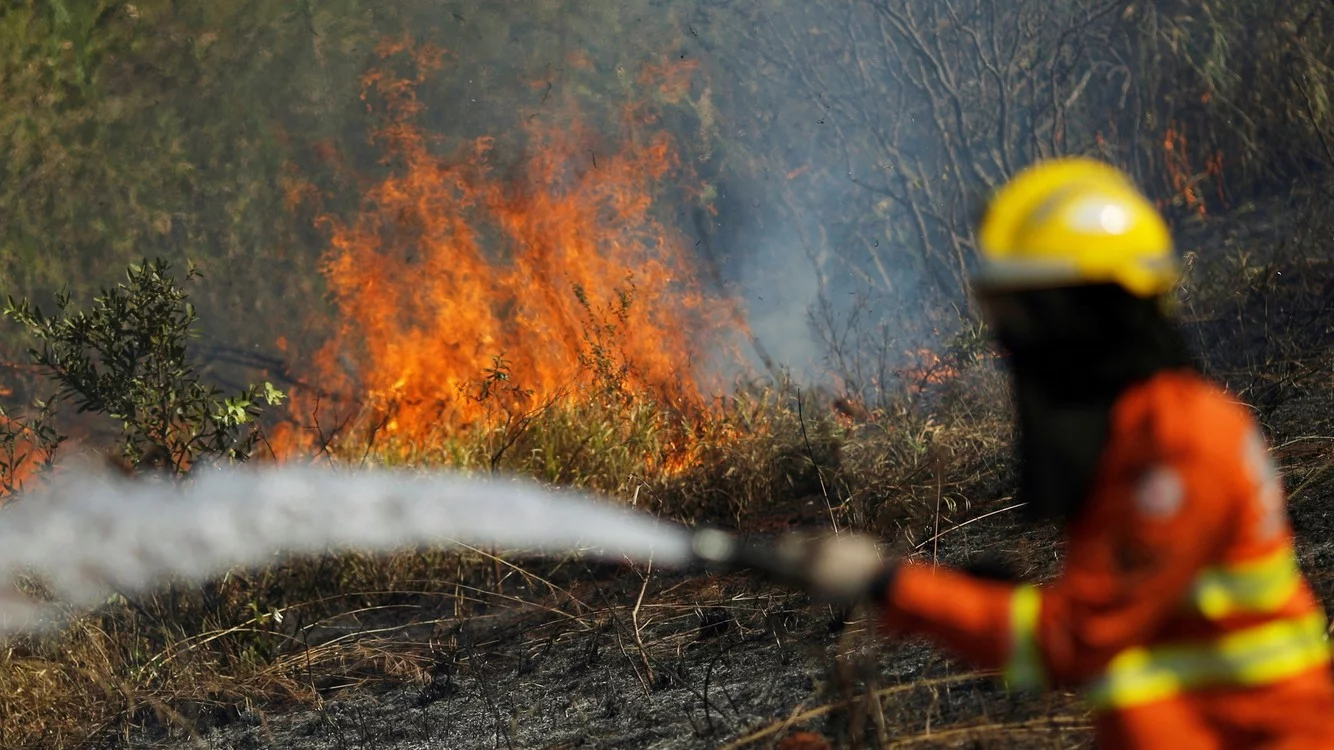 los-incendios-en-la-amazonia___j8hsNz067_0x750__2