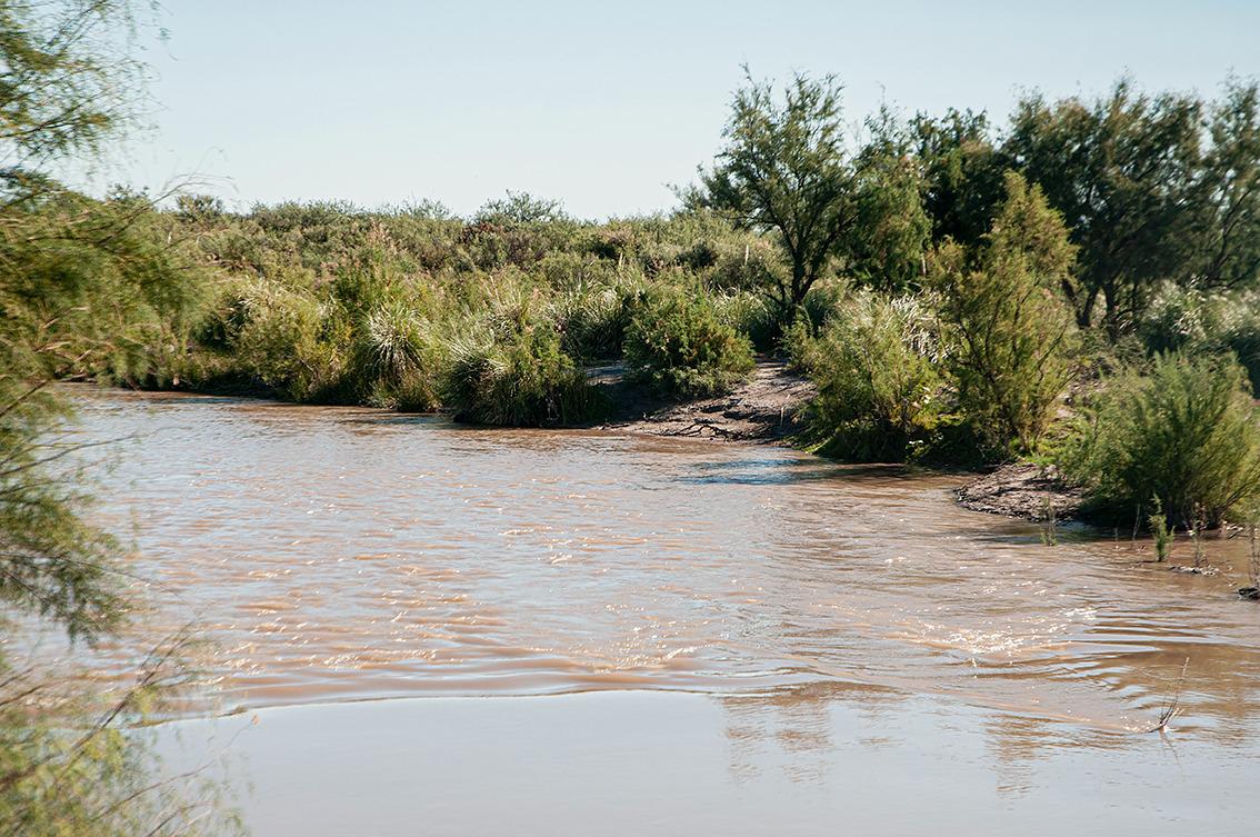 331010_whatsapp-image-2021-09-18-at-5.12.55-pm