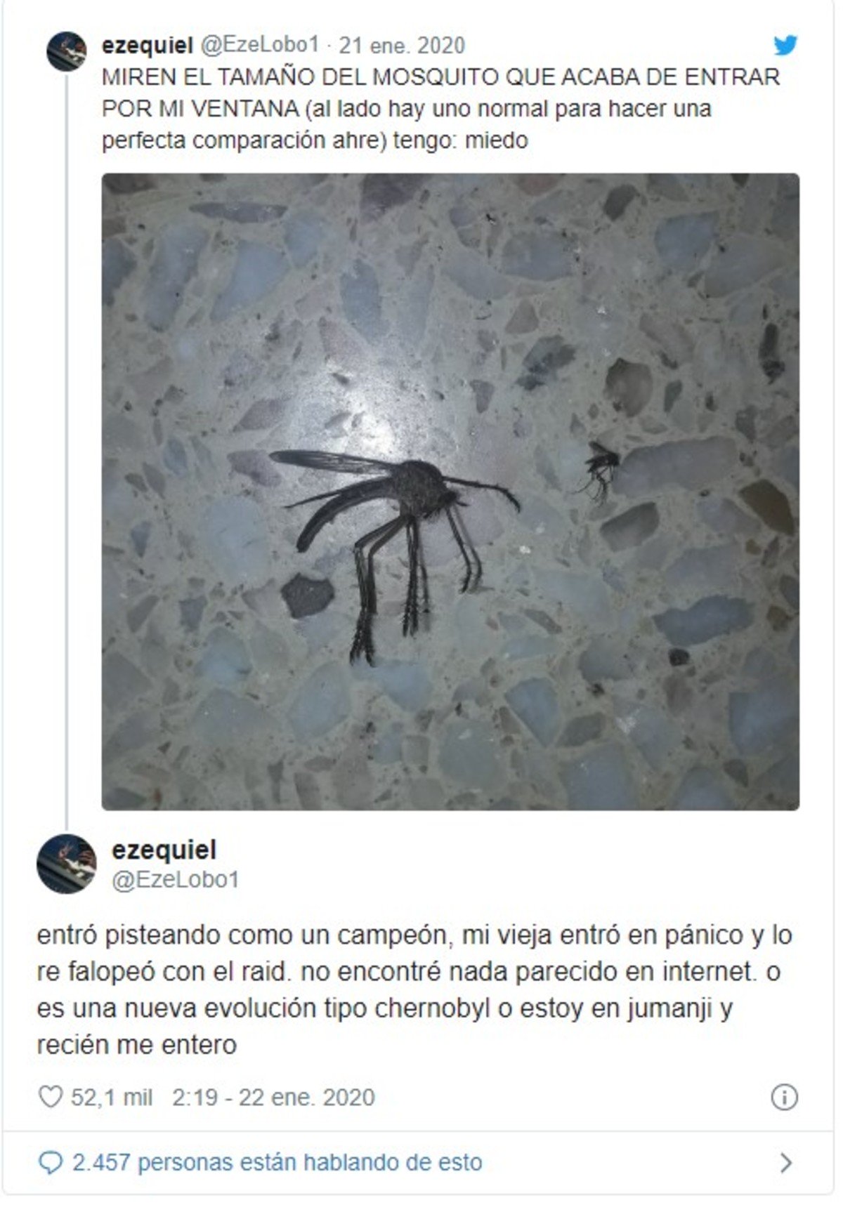 entro-pisteando-como-un-campeon___965Ueonm_1200x0__1