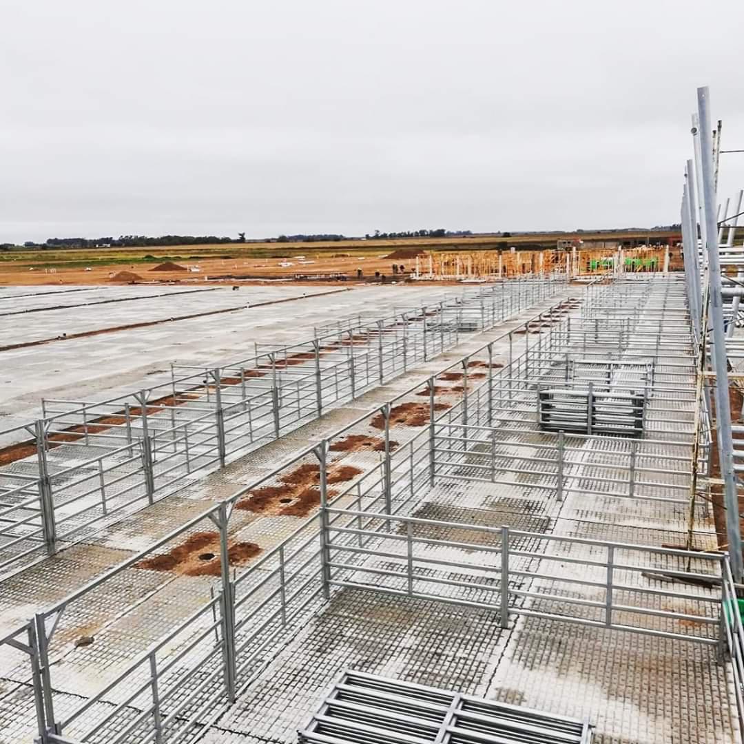 170460_whatsapp-image-2020-07-14-at-12.04.13