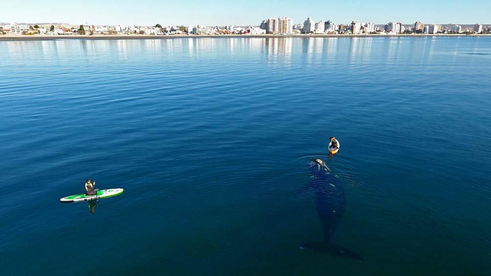 612f7b4e50302_1004x565