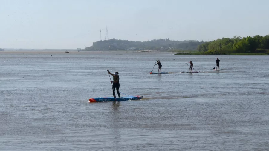 62fa971bdf368.08.2022 foto hernan saravia_900
