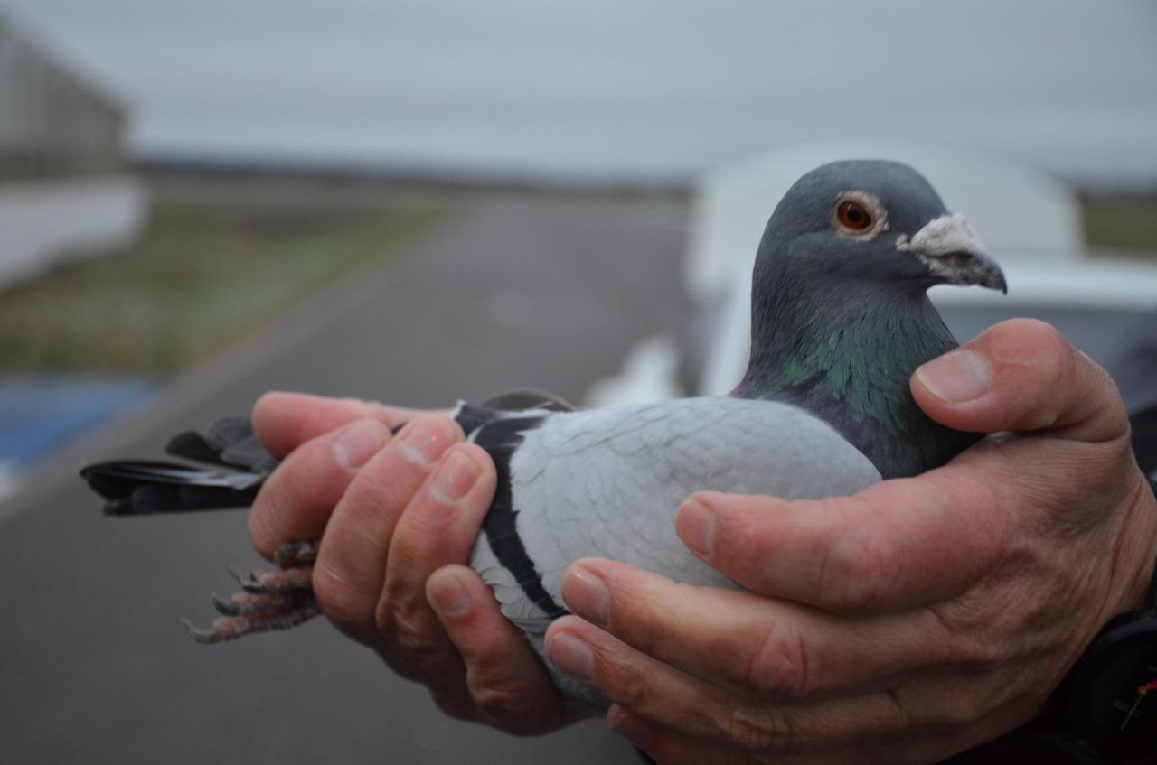 128842_img-20210905-wa0006