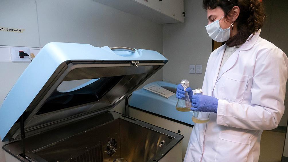 612fcce19ce2a_1004x565