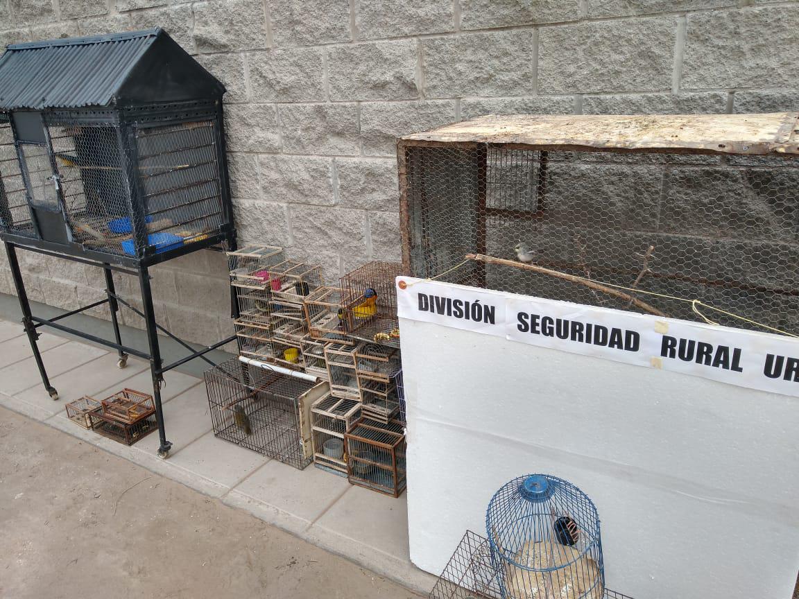 199764_ce975134-e070-4a92-aa8e-b669a4d045c9