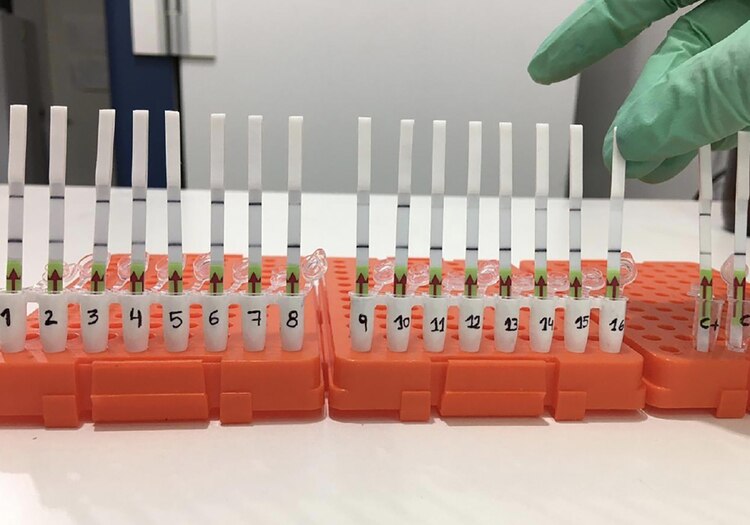 QILKVKQMYRGUPGQOK7EA4ED5CM