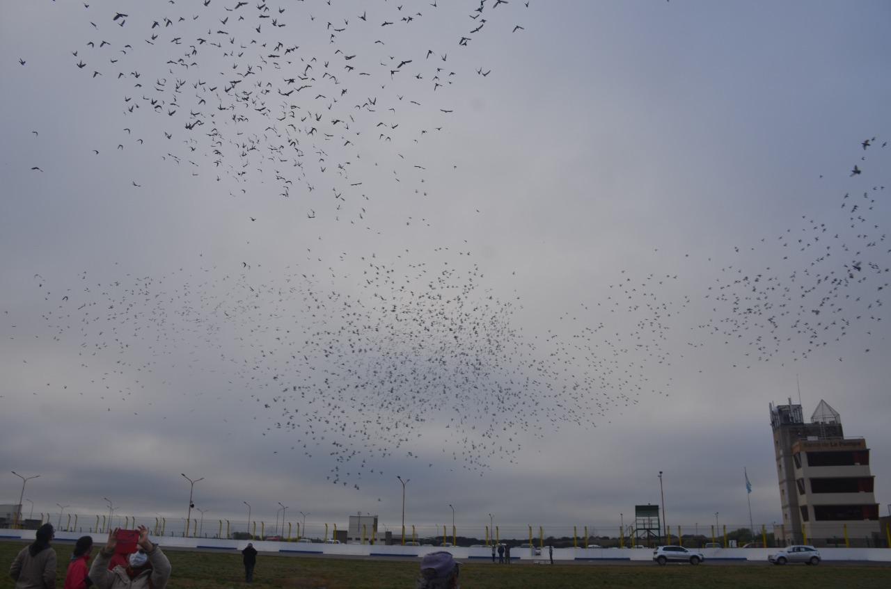 150864_img-20210905-wa0005