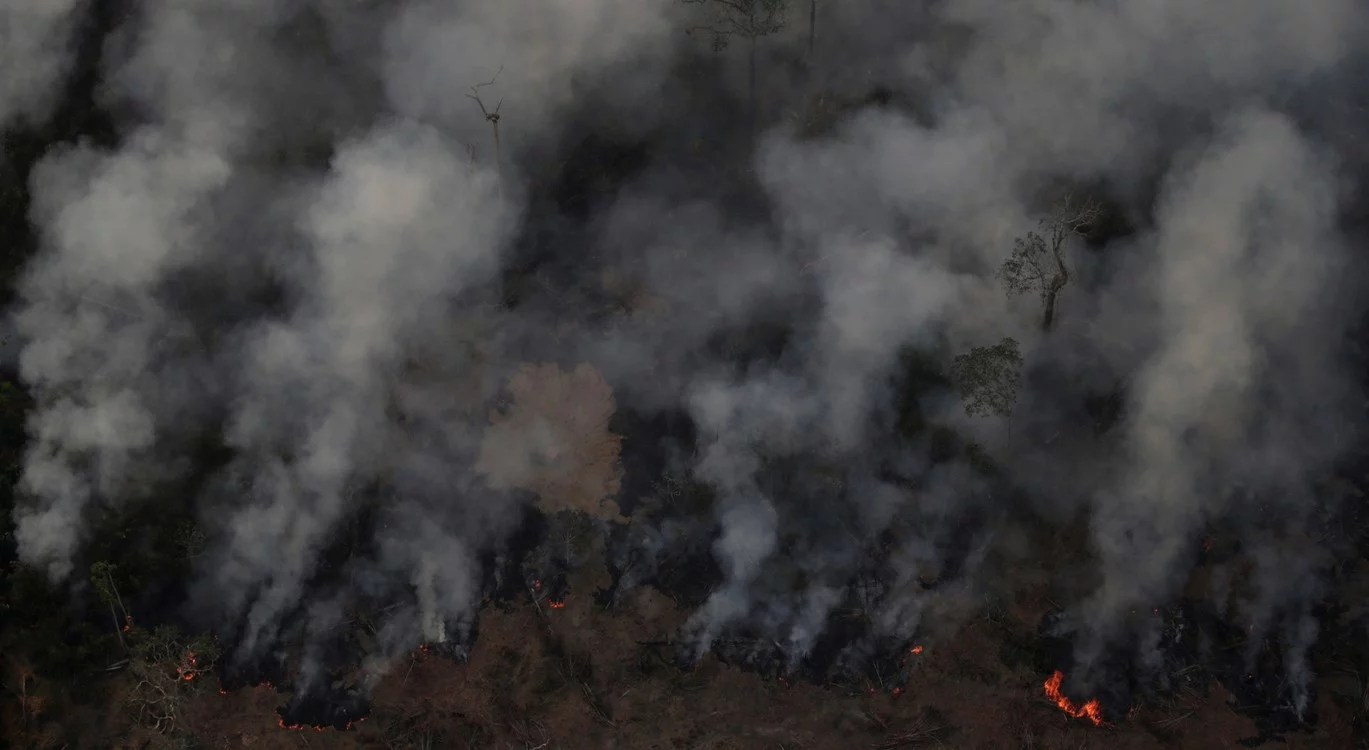 la-causa-del-actual-descontrol___J4qDf-G_r_0x750__3