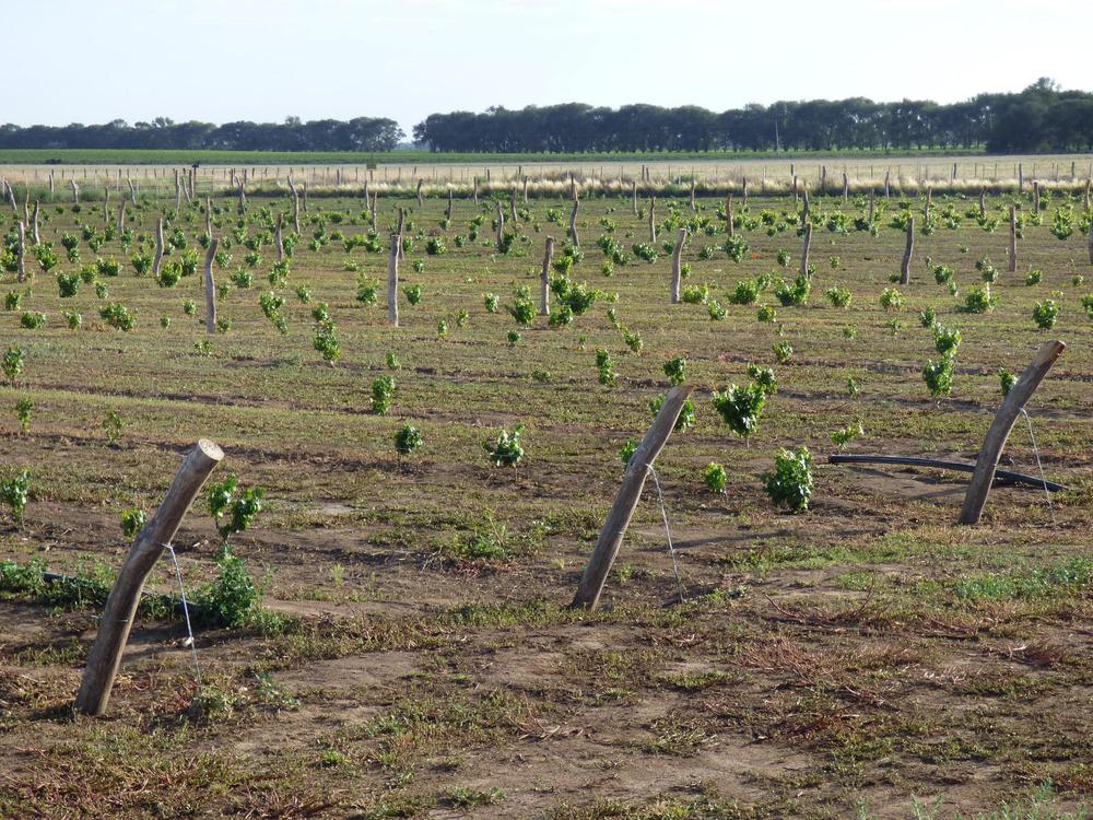 876242_p1310826_copy_1600x1200