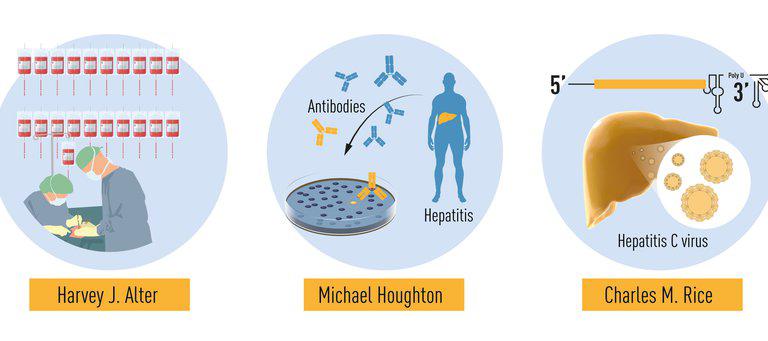 DWX2IJRA25HZXCZ4IJTOHGYEDM