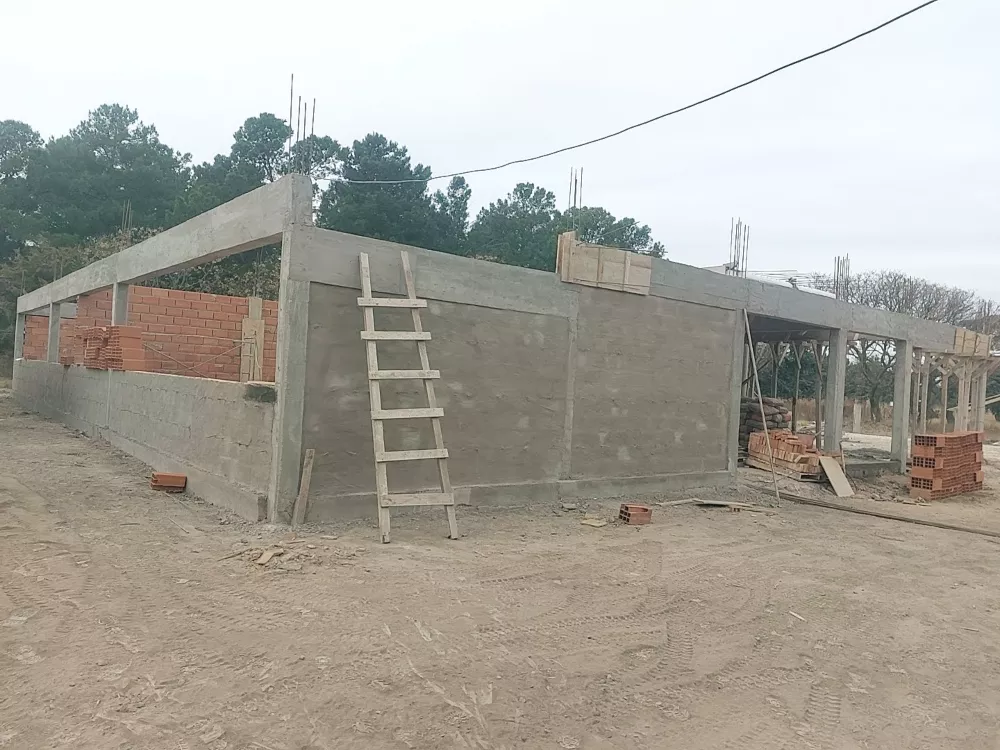 361218_arata-colegio-2