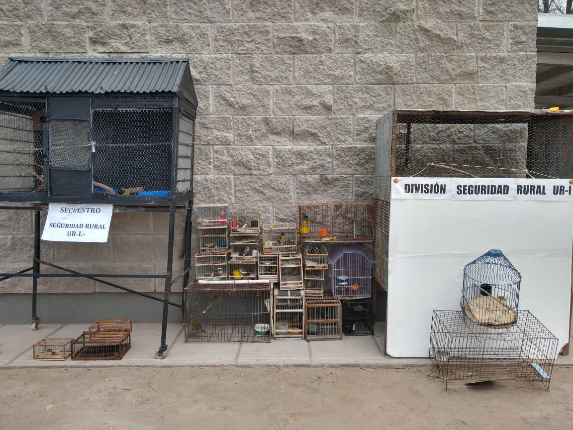 195226_d8d47b05-f57b-4d6d-bf3d-09bb293ab436