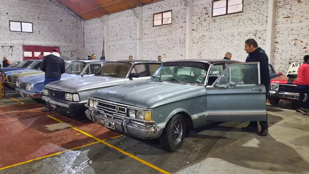 229058_whatsapp-image-2022-09-18-at-13.02.52--1-