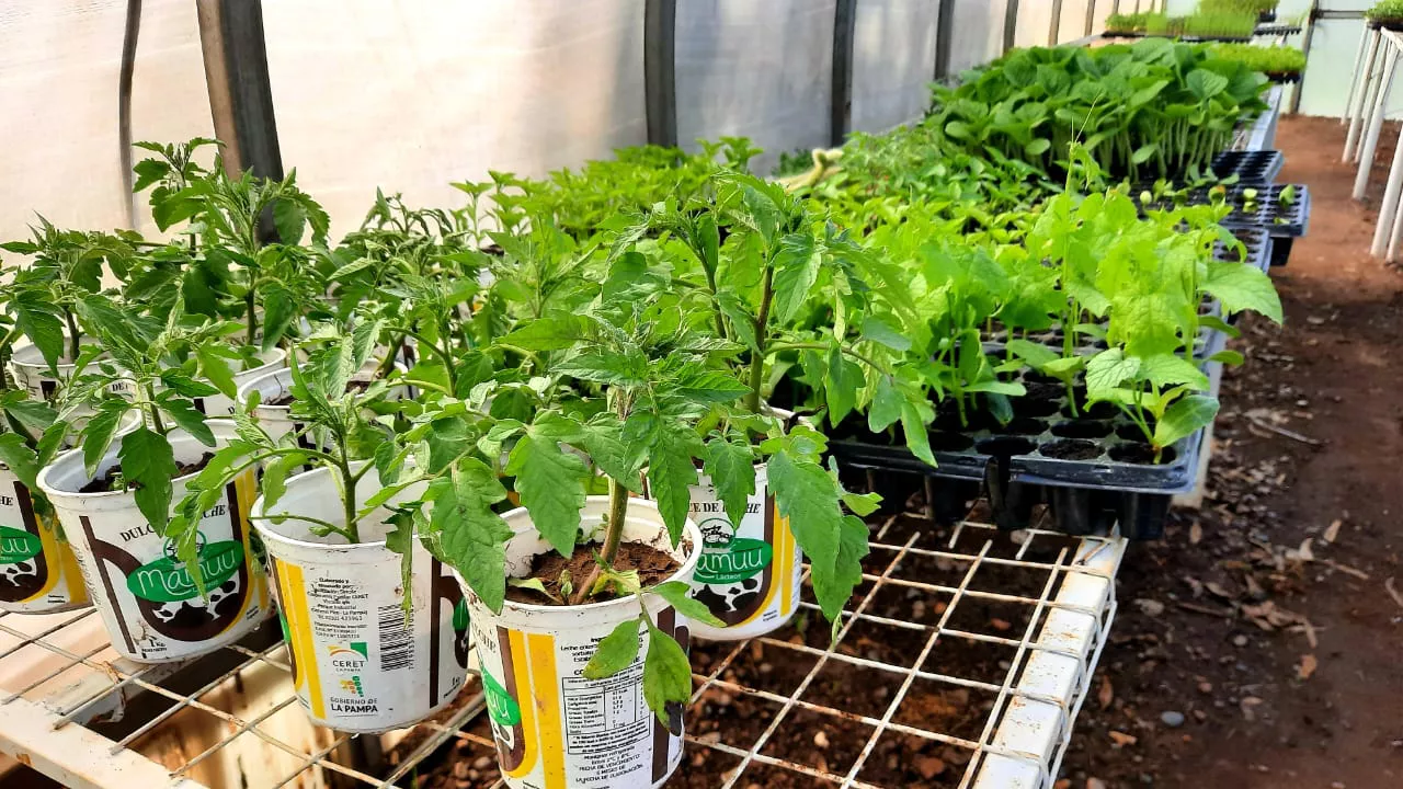 206546_img-20220828-wa0048