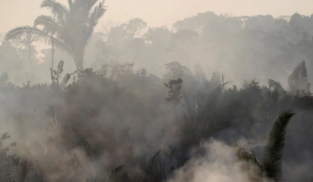 los-incendios-registrados-en-lo____rXtBgN-GZ_0x750__2