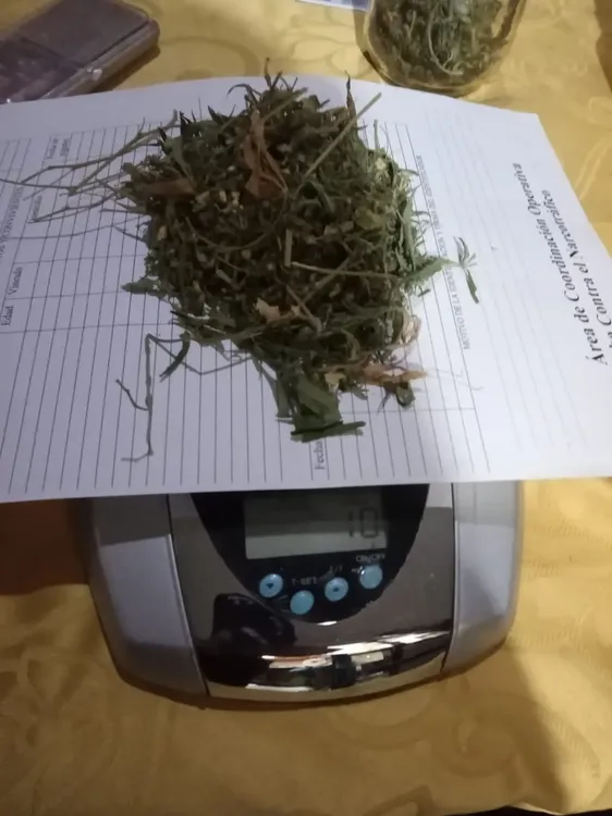 89612_whatsapp-image-2023-06-15-at-11.58.47--1-