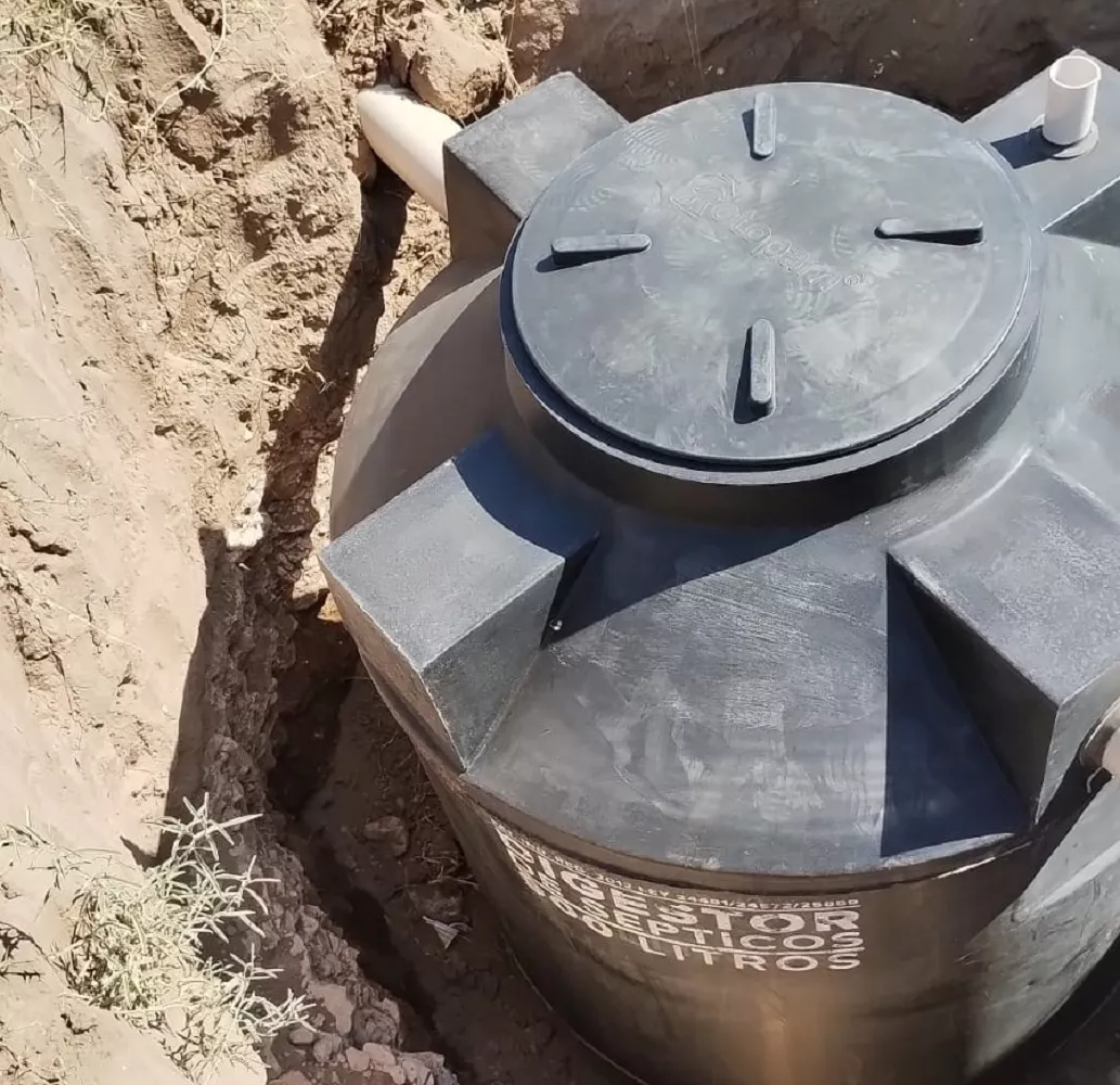 338000_whatsapp-image-2023-02-17-at-15.15.10