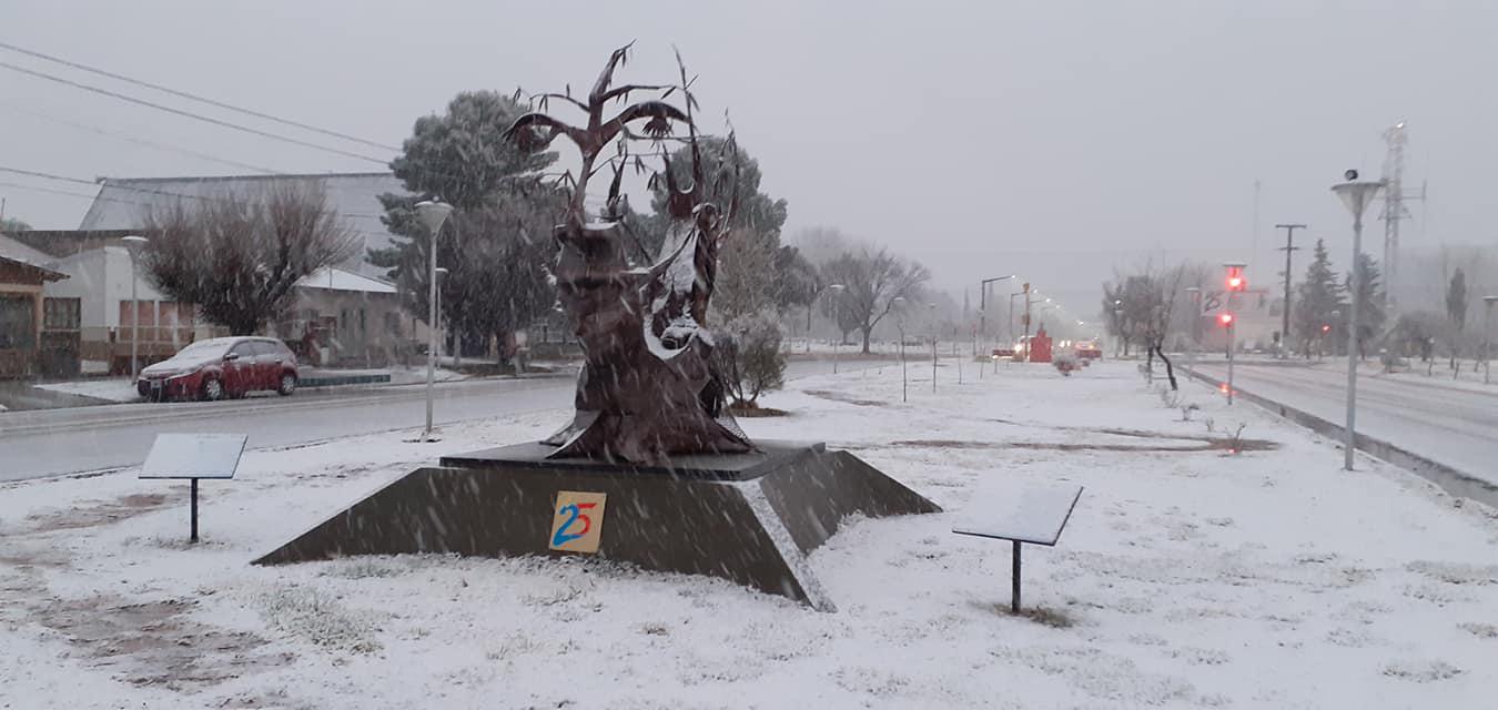 110338064_804357026766249_4642541775909516911_o