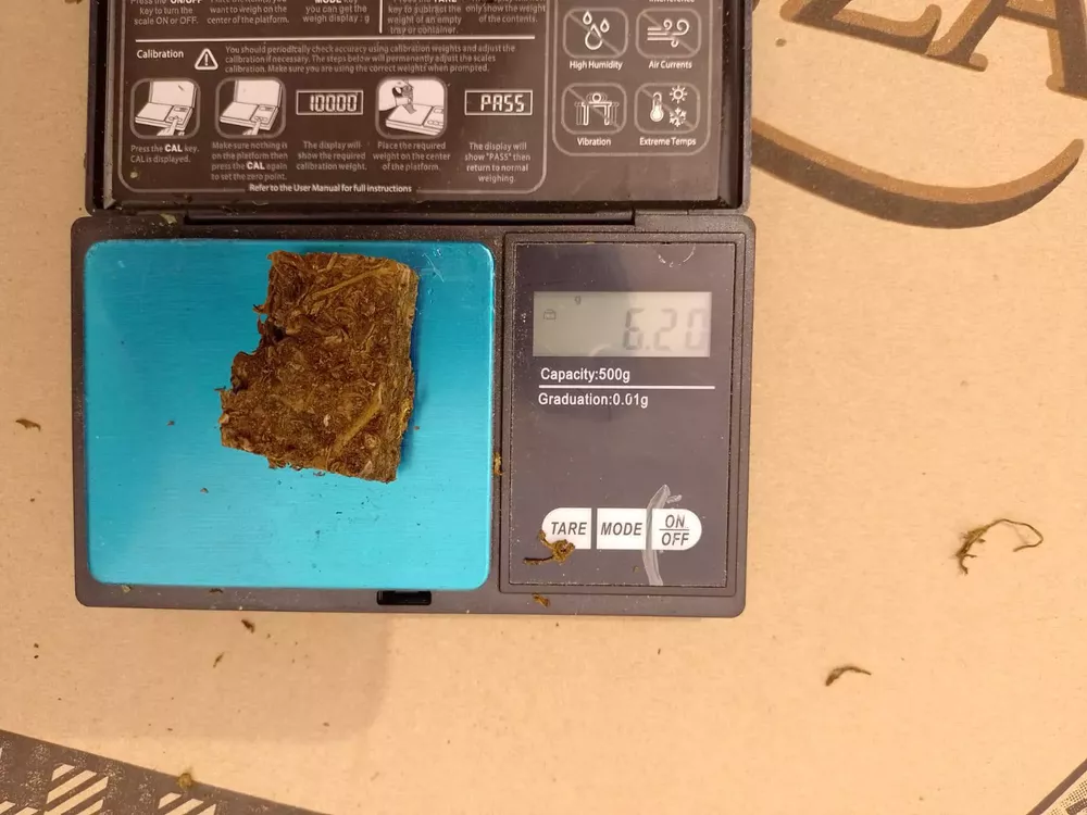 207389_whatsapp-image-2022-02-21-at-19.38.37--1-