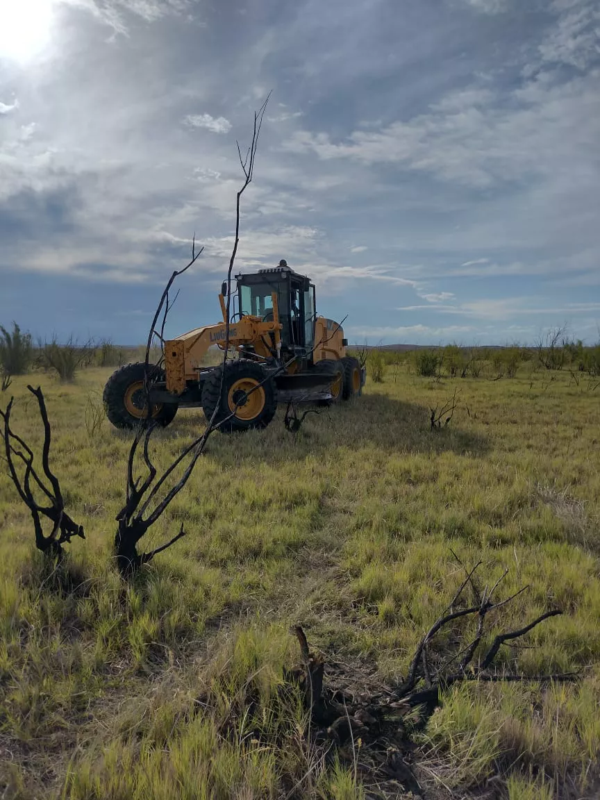 159456_whatsapp-image-2023-01-17-at-20.27.04